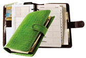 Six-Ring Croco Leather Binders